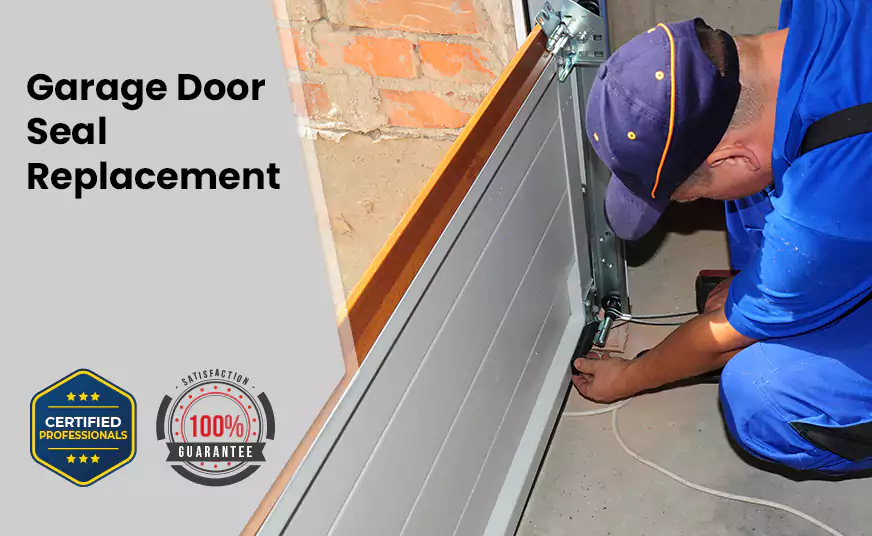 Garage Door Seal Replacement in Buckeye, AZ
