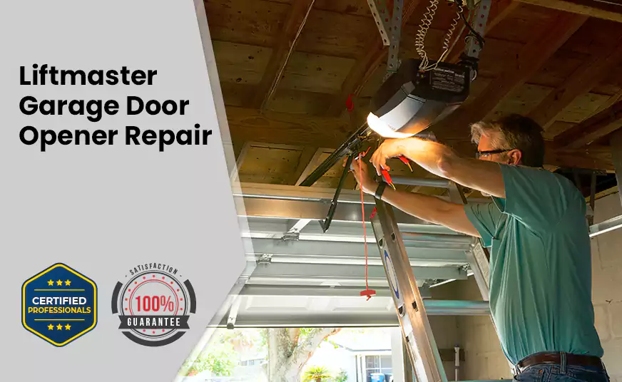 LiftMaster Garage Door Opener Repair in Buckeye, AZ